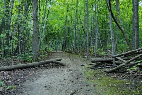 Mono Cliffs Provincial Park