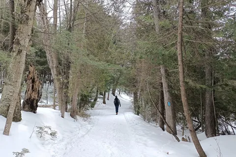 Mono Cliffs Provincial Park