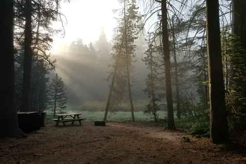 Webber Lake Campground North