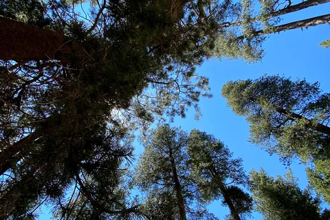 Webber Lake Campground North