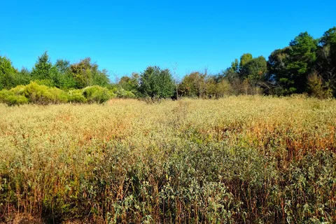 Main - Martin Creek Lake State Park