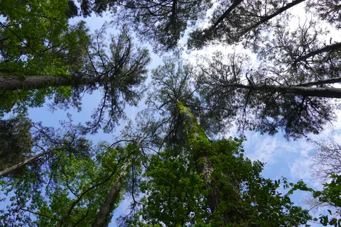 Main - Martin Creek Lake State Park