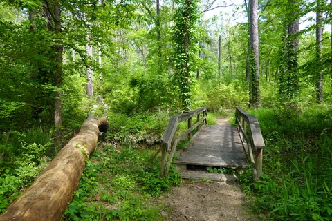 Main - Martin Creek Lake State Park