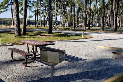 Pickwick Dam Campground