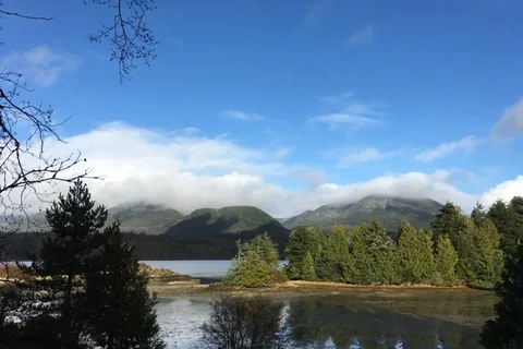 Ucluelet Campground