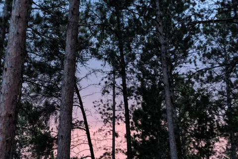 Breeze Campgrounds