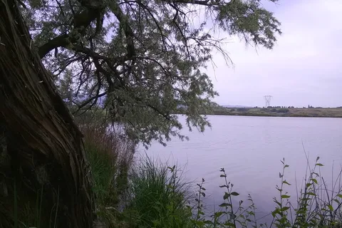 Quincy Lakes
