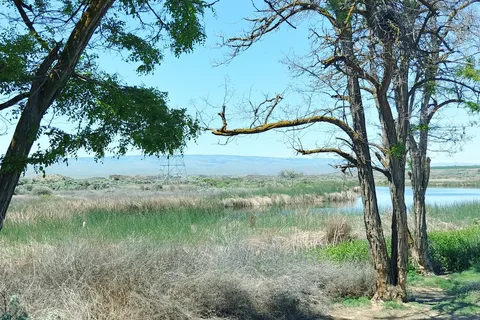 Quincy Lakes