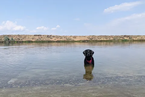 Quincy Lakes
