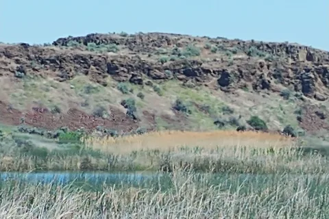 Quincy Lakes