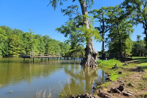 Leroy Percy State Park