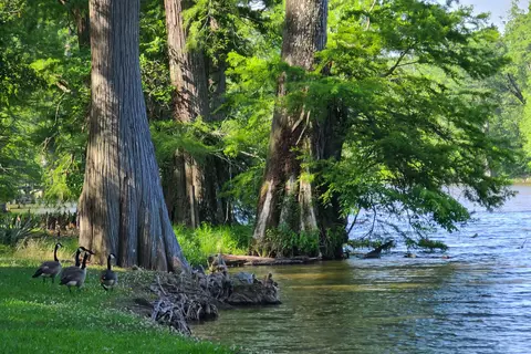 Leroy Percy State Park