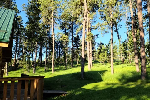 Custer Mountain Cabins and Campground