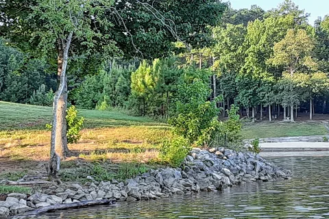 Elliott Branch - Bear Creek