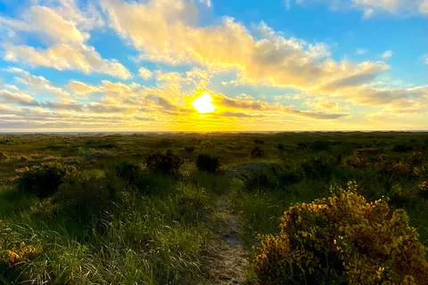 Grayland Beach State Park