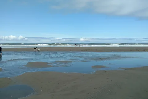 Grayland Beach State Park