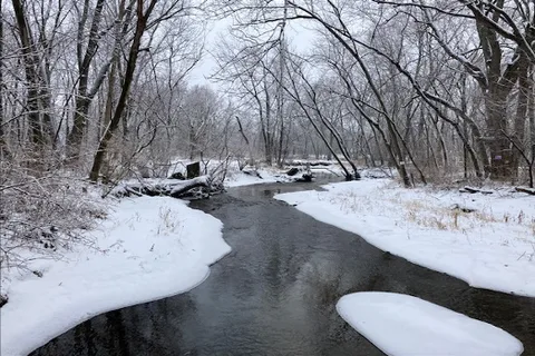 Fox Bluff RV Resort