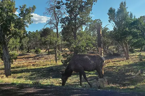 Desert View Campground South - Grand Canyon National Park