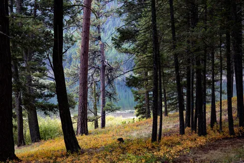 Salmon Lake State Park
