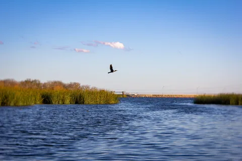 Braunig Lake Park - CPS Energy