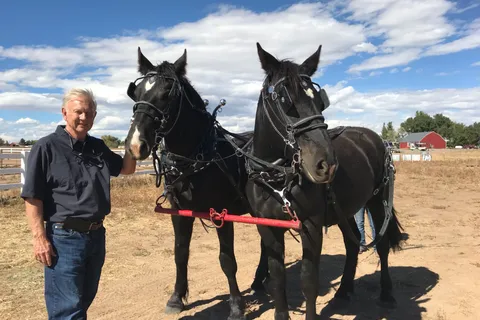 4 Eagle Ranch