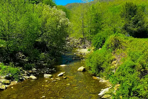 Grandfather Mountain Campground