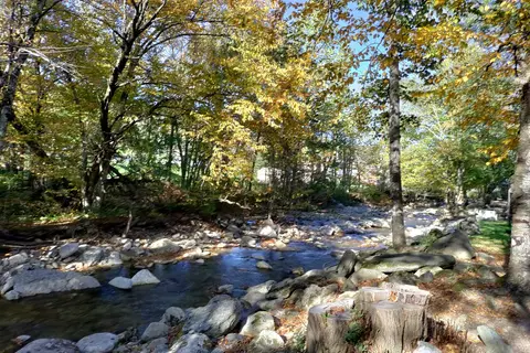 Grandfather Mountain Campground
