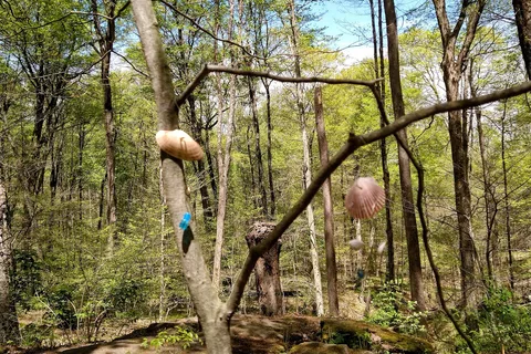 Malabar Farm State Park