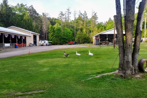 Moyers Grove Campground
