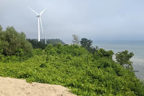 Sand Hill Park