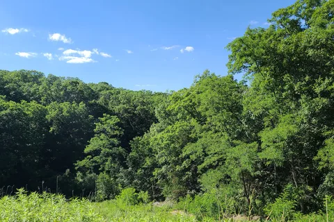 Lacey Keosauqua State Park
