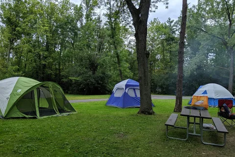 West Side - Cayuga Lake State Park