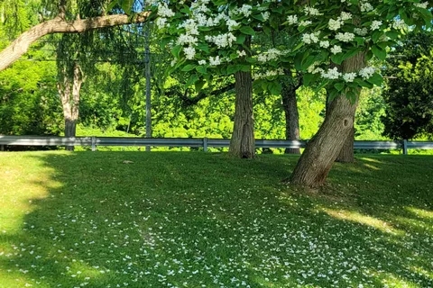 West Side - Cayuga Lake State Park