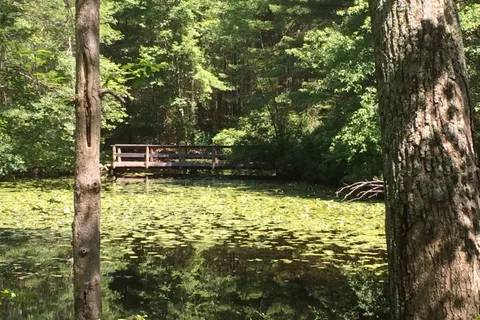 Hopeville Pond State Park