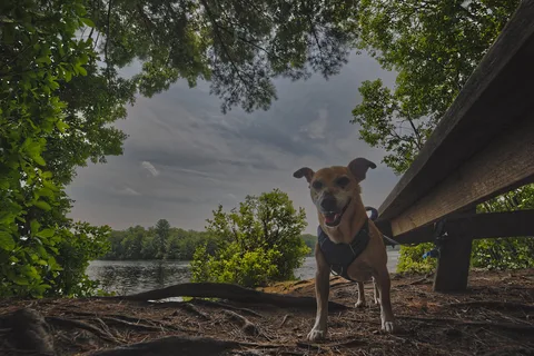 Hopeville Pond State Park