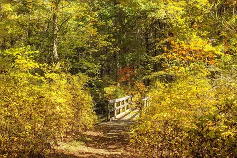 Hopeville Pond State Park