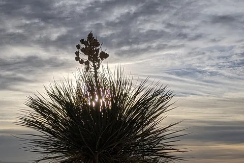 Boot Hill RV Resort