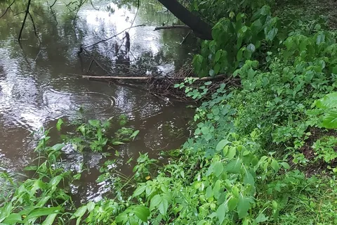 Cedar Valley Campground