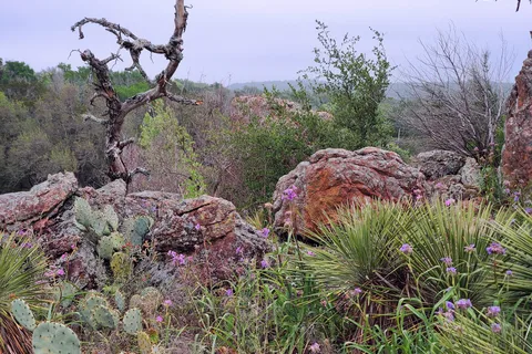 Inks Lake State Park
