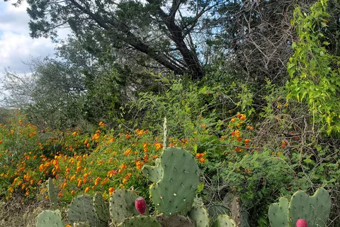 Inks Lake State Park