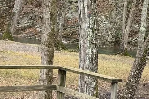 Peaceful River Campground