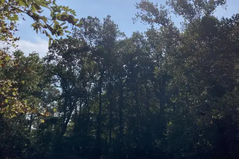 Peaceful River Campground