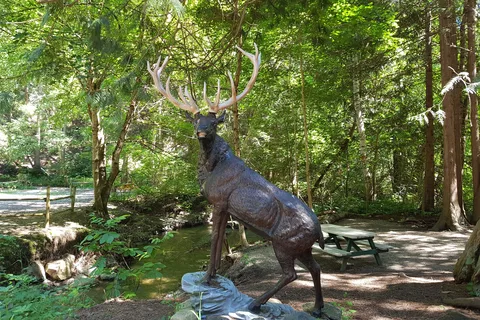 Hidden Valley Campground and RV Park