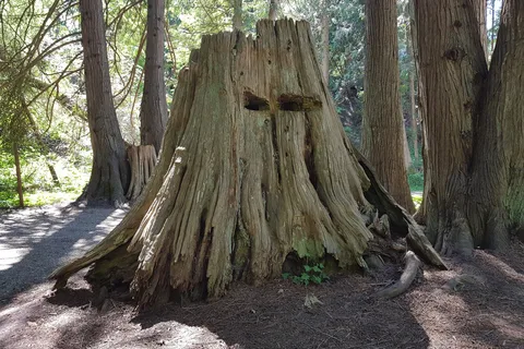 Hidden Valley Campground and RV Park