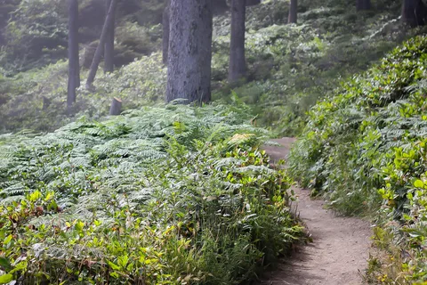 Sue-meg State Park