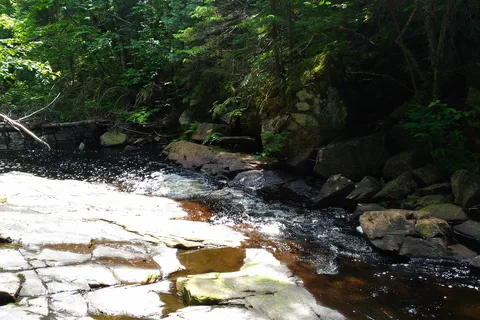 Wapizagonke Campground - La Mauricie National Park