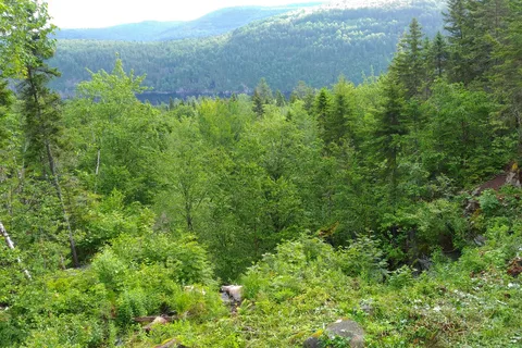 Wapizagonke Campground - La Mauricie National Park