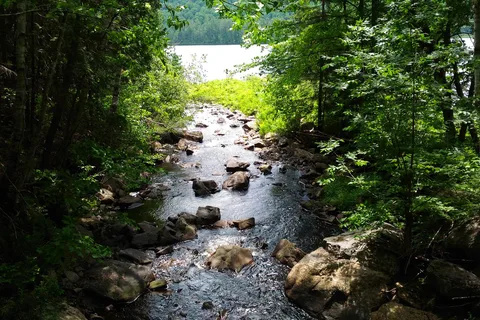 Wapizagonke Campground - La Mauricie National Park