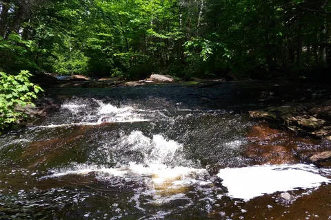 Wapizagonke Campground - La Mauricie National Park