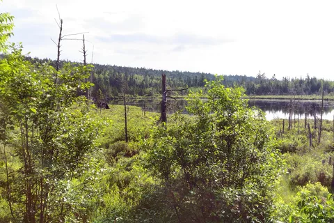 Wapizagonke Campground - La Mauricie National Park